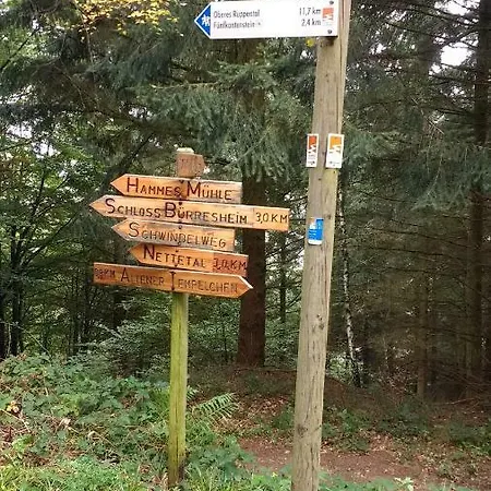 Ferienwohnung Schuller *